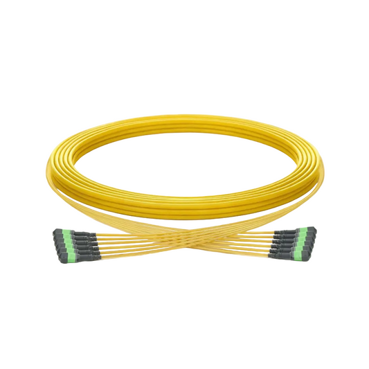 YOFC iCONEC 100G OS2 MPO/APC(F) Fiber Patch Cable | G657A2 LSZH | 50m